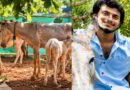 ചർമ്മസംരക്ഷണത്തിന് കഴുതപ്പാൽ സോപ്പ്; പാരമ്പര്യ വഴിവിട്ട് ഒളവിലം സ്വദേശിയുടെ ബിസിനസ് വിജയം